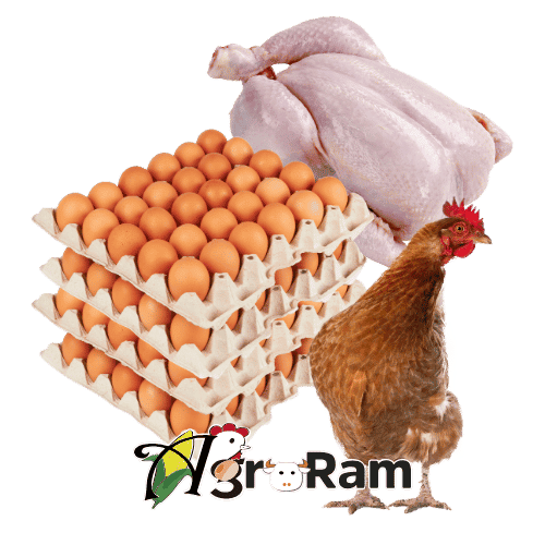 Pollo y Huevos Agroram