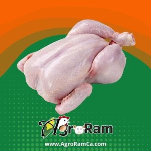 Pollo Entero Beneficiado (Congelado)