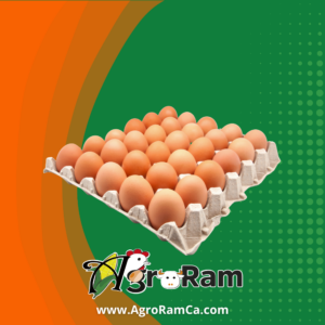 Carton de Huevo de Gallina Extra Fresco (Tipo A)